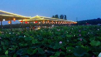 互动桌面最新爆料下载,揭秘未来智能交互新趋势